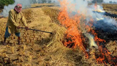 Haryana Government With Assistance Of Deloitte Conducts Pilot To Combat Stubble Burning 