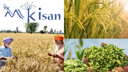 mKisan: A Portal of State-Based Government Services for Farmers