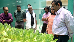 IIITB and IIHR Collaborate to Develop Automated Greenhouse System