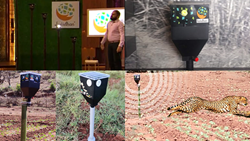 Shark Tank India Season 3: 'Katidhan's Parabraksh' Device Impresses Sharks, Know its Benefits for Farmers and Wildlife 