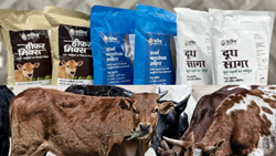 Gramik Launches Innovative Cattle Feed Supplements to Empower Livestock Farmers