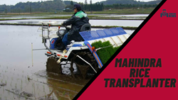 Best Rice Transplanting Machine 2023- Mahindra Rice Transplanters