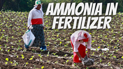 Ammonia in Fertilizer: Environmental Impact and Concerns