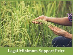 Minimum Support Price: Significance, and Related Issues