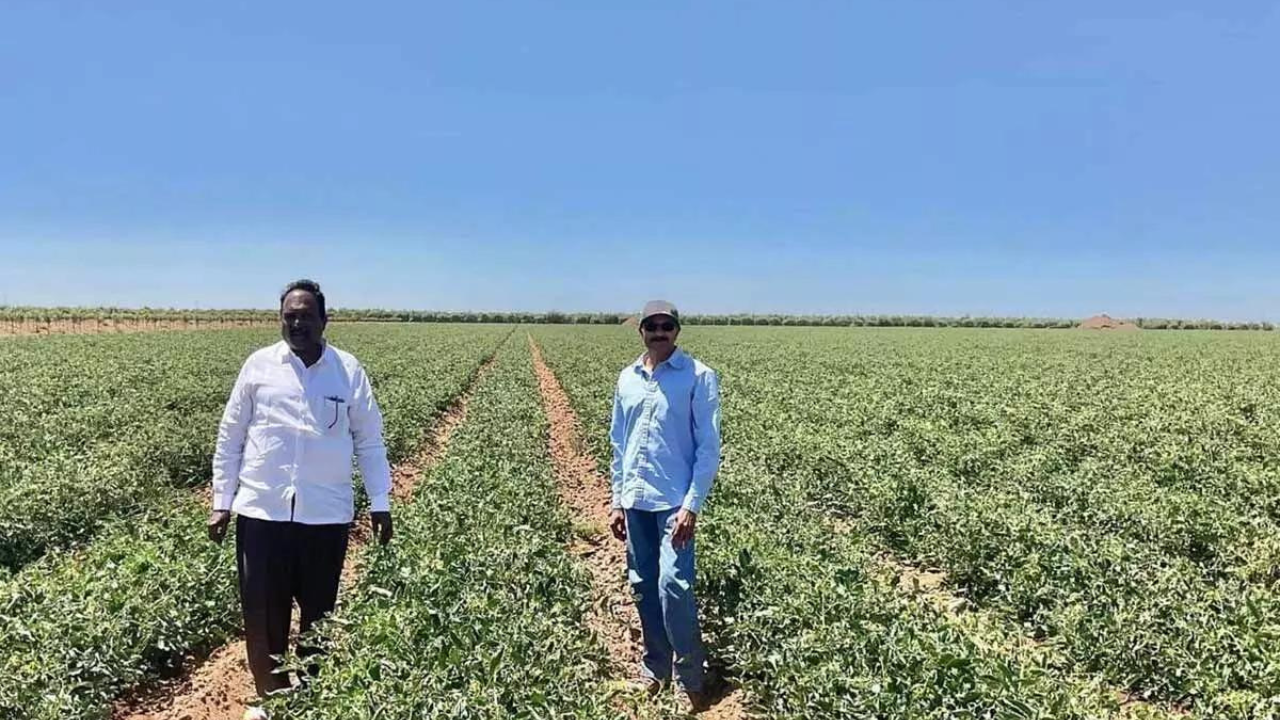 Water Conservation Revolution: Andhra Pradesh Farmers Learn From ...