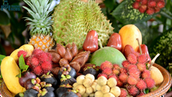 Popular Exotic Fruits in India And Their Health Benefits 