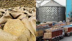 FCI Expanding Grain Storage Capacity with 3 Million Tonnes of Wheat Silos By November