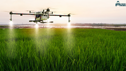 Optimizing Irrigation with Drone Technology