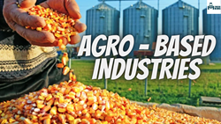 Agro - Processing Industry - Its  Role, Classification And  Importance 