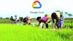 Google Cloud to Empower Indian Farmers, Launches 'A App' in Collaboration with Axis My India