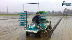 NSPU-68C Kubota Ride-On Type 6-Row Rice Transplanter- 2023, Specifications, & Features