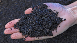 Biochar-Agriculture Can Increase Farmers’ Revenue And Reduce Pollution