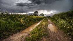 Weather Alert: IMD Predicts Rainfall & Thunderstorms Across Multiple States Till Sep 30