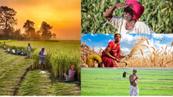 National Farmer's Day 2023: Celebrating Farmers of Our Country- Date, History, & Significance