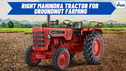 Choosing the Right Mahindra Tractor for Groundnut Farming: Know in Detail 