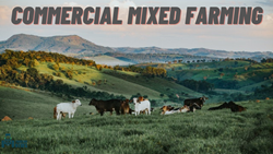 Commercial Mixed Farming and Its Various Benefits in Agriculture