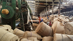 Big Boost For Jute Sector-Govt. Makes Juke Packaging Mandatory For Food Grains