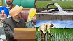 Punjab Budget 2024-25 Highlights: Govt Allocates ₹13,784 Crore for Agri Sector, Focuses on Tubewell Power and Crop Diversification