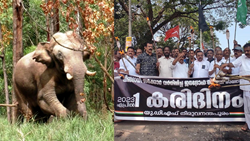 ‘Arikomban’: Troubled By Wild Elephant Various Farmer’s Organisations March From Idukki To Kerala High Court