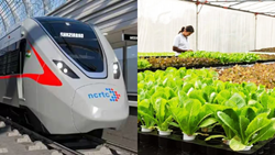 NCRTC Launches Farmer Training Program for Modern Agriculture Techniques