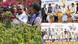 Bengaluru's Krishi Mela Showcases Agricultural Advancements, Draws 1.31 Lakh Visitors