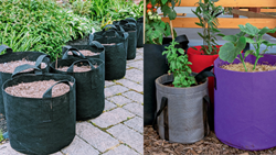 Top 5 Useful Tips for Successful Gardening in Growbags