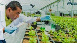 Biotechnology-Its Endeavor Applications And Benefits In Agriculture