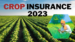 Crop Insurance in India- Benefits, Eligibility & Application Process