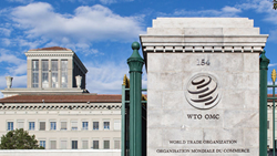 Sitharaman: WTO Must Approach Issue of Farm Subsidies with Open Mind  