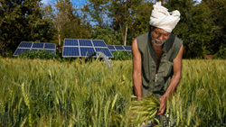 Challenges of Using Solar Power on Farms: Easy Steps to Successfully Harness Solar Power