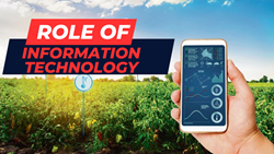  Digital Transformation in Agriculture: The Role of Information Technology