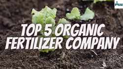 Top 5 Organic Fertilizer Companies