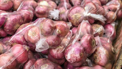 Government Directs Two Central Agencies to Procure Onions Directly From Farmers