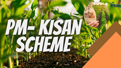 PM- Kisan Scheme- What is it and Why it's Trending?