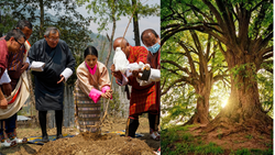 Second Phase of Bhutan's Million Fruit Tree Plantation Project Completed Successfully 