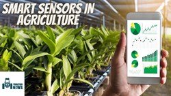 Types of Smart Sensors in Agriculture for Indian Farming