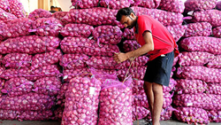 Onion Prices Could Follow Tomato's Path, Might Touch Rs 60/70 per kg by Month End