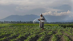 J&K Announces Rs 560 Crores Project To Boost Economy and Benefit Farmers