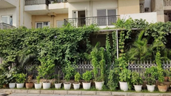 Engineer's Success Story - Love for Gardening Transformed Noida To Lush Mini Jungle