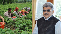 J&K Administration Nods to The Project Worth Rs 463 Crore to Empower Farmers