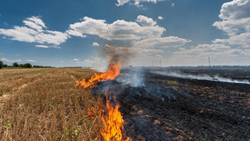 Govt Announces Revised Guidelines for Crop Residue Management, Promotes Sustainable Stubble Management