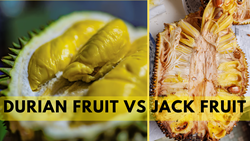 Jackfruit vs Durian: 5 Ways You Can Tell the Difference 