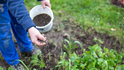 Nutrient Management in Agriculture: Ensuring Sustainable and Productive Crop Production