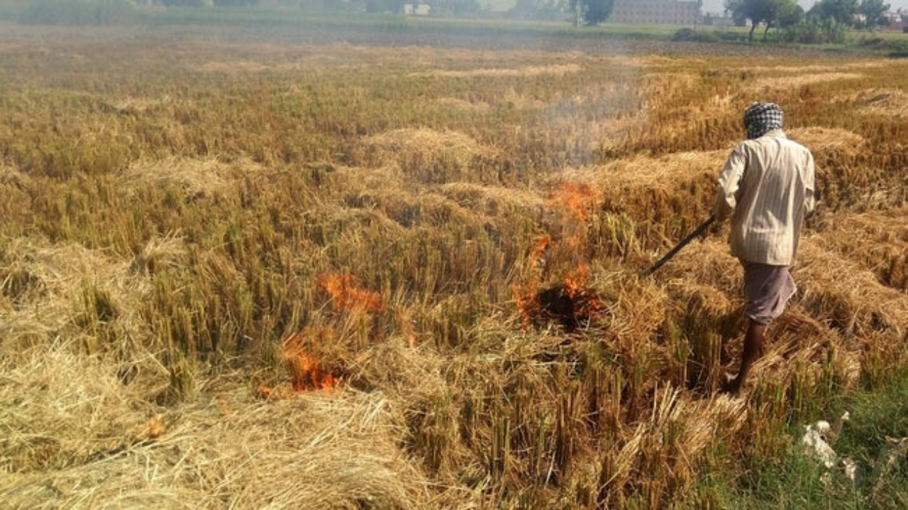 Punjab- High Demand for Subsidized Machines Requested to Curb Stubble Burning, 1.41 Lakh Machines to be Distributed