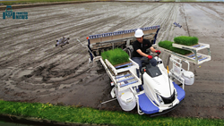 Mitsubishi LKE60D Rice Transplanter-Features, Specifications, and More