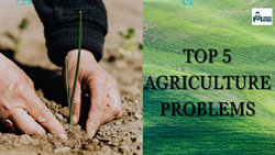 Tackling India's Top 5 Agriculture Problems: Innovative Solutions for Sustainable Farming