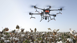 Goa Set to Boost Drone Farming to Advance Agriculture