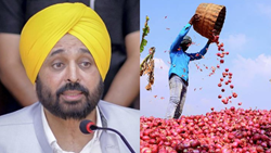 Mann Assures Gujarat Farmers – AAP Govts in Punjab, Delhi will Procure Onions From You