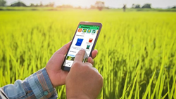 Indian Agri-Tech Startups See 45% Investment Drop Amid Global Economic Uncertainty, Reveals FSG Report