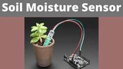 Here's Everything You Need To Know About 'Soil Moisture Sensors'